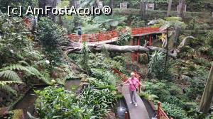 [P24] Monte Palace Garden » foto by elenaadina
 - 
<span class="allrVoted glyphicon glyphicon-heart hidden" id="av1337975"></span>
<a class="m-l-10 hidden" id="sv1337975" onclick="voting_Foto_DelVot(,1337975,4289)" role="button">șterge vot <span class="glyphicon glyphicon-remove"></span></a>
<a id="v91337975" class=" c-red"  onclick="voting_Foto_SetVot(1337975)" role="button"><span class="glyphicon glyphicon-heart-empty"></span> <b>LIKE</b> = Votează poza</a> <img class="hidden"  id="f1337975W9" src="/imagini/loader.gif" border="0" /><span class="AjErrMes hidden" id="e1337975ErM"></span>