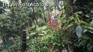 [P25] Monte Palace Garden » foto by elenaadina
 - 
<span class="allrVoted glyphicon glyphicon-heart hidden" id="av1337976"></span>
<a class="m-l-10 hidden" id="sv1337976" onclick="voting_Foto_DelVot(,1337976,4289)" role="button">șterge vot <span class="glyphicon glyphicon-remove"></span></a>
<a id="v91337976" class=" c-red"  onclick="voting_Foto_SetVot(1337976)" role="button"><span class="glyphicon glyphicon-heart-empty"></span> <b>LIKE</b> = Votează poza</a> <img class="hidden"  id="f1337976W9" src="/imagini/loader.gif" border="0" /><span class="AjErrMes hidden" id="e1337976ErM"></span>