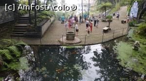 [P28] Monte Palace Garden » foto by elenaadina
 - 
<span class="allrVoted glyphicon glyphicon-heart hidden" id="av1337979"></span>
<a class="m-l-10 hidden" id="sv1337979" onclick="voting_Foto_DelVot(,1337979,4289)" role="button">șterge vot <span class="glyphicon glyphicon-remove"></span></a>
<a id="v91337979" class=" c-red"  onclick="voting_Foto_SetVot(1337979)" role="button"><span class="glyphicon glyphicon-heart-empty"></span> <b>LIKE</b> = Votează poza</a> <img class="hidden"  id="f1337979W9" src="/imagini/loader.gif" border="0" /><span class="AjErrMes hidden" id="e1337979ErM"></span>