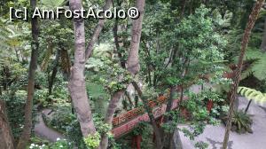 [P03] Monte Palace Garden » foto by elenaadina
 - 
<span class="allrVoted glyphicon glyphicon-heart hidden" id="av1337954"></span>
<a class="m-l-10 hidden" id="sv1337954" onclick="voting_Foto_DelVot(,1337954,4289)" role="button">șterge vot <span class="glyphicon glyphicon-remove"></span></a>
<a id="v91337954" class=" c-red"  onclick="voting_Foto_SetVot(1337954)" role="button"><span class="glyphicon glyphicon-heart-empty"></span> <b>LIKE</b> = Votează poza</a> <img class="hidden"  id="f1337954W9" src="/imagini/loader.gif" border="0" /><span class="AjErrMes hidden" id="e1337954ErM"></span>