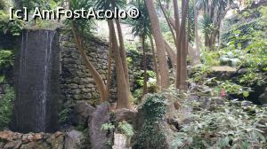 [P04] Monte Palace Garden » foto by elenaadina
 - 
<span class="allrVoted glyphicon glyphicon-heart hidden" id="av1337955"></span>
<a class="m-l-10 hidden" id="sv1337955" onclick="voting_Foto_DelVot(,1337955,4289)" role="button">șterge vot <span class="glyphicon glyphicon-remove"></span></a>
<a id="v91337955" class=" c-red"  onclick="voting_Foto_SetVot(1337955)" role="button"><span class="glyphicon glyphicon-heart-empty"></span> <b>LIKE</b> = Votează poza</a> <img class="hidden"  id="f1337955W9" src="/imagini/loader.gif" border="0" /><span class="AjErrMes hidden" id="e1337955ErM"></span>