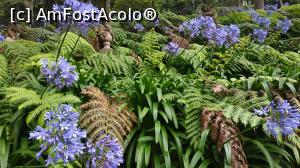 [P40] Monte Palace Garden » foto by elenaadina
 - 
<span class="allrVoted glyphicon glyphicon-heart hidden" id="av1337991"></span>
<a class="m-l-10 hidden" id="sv1337991" onclick="voting_Foto_DelVot(,1337991,4289)" role="button">șterge vot <span class="glyphicon glyphicon-remove"></span></a>
<a id="v91337991" class=" c-red"  onclick="voting_Foto_SetVot(1337991)" role="button"><span class="glyphicon glyphicon-heart-empty"></span> <b>LIKE</b> = Votează poza</a> <img class="hidden"  id="f1337991W9" src="/imagini/loader.gif" border="0" /><span class="AjErrMes hidden" id="e1337991ErM"></span>