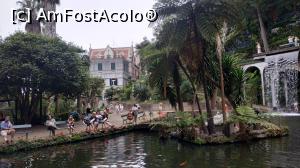 [P49] Monte Palace Garden » foto by elenaadina
 - 
<span class="allrVoted glyphicon glyphicon-heart hidden" id="av1338000"></span>
<a class="m-l-10 hidden" id="sv1338000" onclick="voting_Foto_DelVot(,1338000,4289)" role="button">șterge vot <span class="glyphicon glyphicon-remove"></span></a>
<a id="v91338000" class=" c-red"  onclick="voting_Foto_SetVot(1338000)" role="button"><span class="glyphicon glyphicon-heart-empty"></span> <b>LIKE</b> = Votează poza</a> <img class="hidden"  id="f1338000W9" src="/imagini/loader.gif" border="0" /><span class="AjErrMes hidden" id="e1338000ErM"></span>