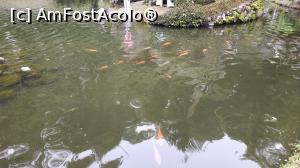 [P55] Monte Palace Garden » foto by elenaadina
 - 
<span class="allrVoted glyphicon glyphicon-heart hidden" id="av1338006"></span>
<a class="m-l-10 hidden" id="sv1338006" onclick="voting_Foto_DelVot(,1338006,4289)" role="button">șterge vot <span class="glyphicon glyphicon-remove"></span></a>
<a id="v91338006" class=" c-red"  onclick="voting_Foto_SetVot(1338006)" role="button"><span class="glyphicon glyphicon-heart-empty"></span> <b>LIKE</b> = Votează poza</a> <img class="hidden"  id="f1338006W9" src="/imagini/loader.gif" border="0" /><span class="AjErrMes hidden" id="e1338006ErM"></span>