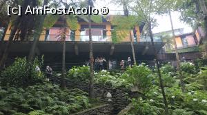 [P06] Monte Palace Garden » foto by elenaadina
 - 
<span class="allrVoted glyphicon glyphicon-heart hidden" id="av1337957"></span>
<a class="m-l-10 hidden" id="sv1337957" onclick="voting_Foto_DelVot(,1337957,4289)" role="button">șterge vot <span class="glyphicon glyphicon-remove"></span></a>
<a id="v91337957" class=" c-red"  onclick="voting_Foto_SetVot(1337957)" role="button"><span class="glyphicon glyphicon-heart-empty"></span> <b>LIKE</b> = Votează poza</a> <img class="hidden"  id="f1337957W9" src="/imagini/loader.gif" border="0" /><span class="AjErrMes hidden" id="e1337957ErM"></span>