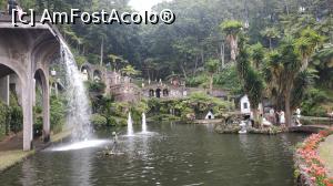 [P63] Monte Palace Garden » foto by elenaadina
 - 
<span class="allrVoted glyphicon glyphicon-heart hidden" id="av1338014"></span>
<a class="m-l-10 hidden" id="sv1338014" onclick="voting_Foto_DelVot(,1338014,4289)" role="button">șterge vot <span class="glyphicon glyphicon-remove"></span></a>
<a id="v91338014" class=" c-red"  onclick="voting_Foto_SetVot(1338014)" role="button"><span class="glyphicon glyphicon-heart-empty"></span> <b>LIKE</b> = Votează poza</a> <img class="hidden"  id="f1338014W9" src="/imagini/loader.gif" border="0" /><span class="AjErrMes hidden" id="e1338014ErM"></span>