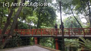 [P07] Monte Palace Garden » foto by elenaadina
 - 
<span class="allrVoted glyphicon glyphicon-heart hidden" id="av1337958"></span>
<a class="m-l-10 hidden" id="sv1337958" onclick="voting_Foto_DelVot(,1337958,4289)" role="button">șterge vot <span class="glyphicon glyphicon-remove"></span></a>
<a id="v91337958" class=" c-red"  onclick="voting_Foto_SetVot(1337958)" role="button"><span class="glyphicon glyphicon-heart-empty"></span> <b>LIKE</b> = Votează poza</a> <img class="hidden"  id="f1337958W9" src="/imagini/loader.gif" border="0" /><span class="AjErrMes hidden" id="e1337958ErM"></span>