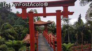 [P70] Monte Palace Garden » foto by elenaadina
 - 
<span class="allrVoted glyphicon glyphicon-heart hidden" id="av1338021"></span>
<a class="m-l-10 hidden" id="sv1338021" onclick="voting_Foto_DelVot(,1338021,4289)" role="button">șterge vot <span class="glyphicon glyphicon-remove"></span></a>
<a id="v91338021" class=" c-red"  onclick="voting_Foto_SetVot(1338021)" role="button"><span class="glyphicon glyphicon-heart-empty"></span> <b>LIKE</b> = Votează poza</a> <img class="hidden"  id="f1338021W9" src="/imagini/loader.gif" border="0" /><span class="AjErrMes hidden" id="e1338021ErM"></span>