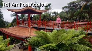 [P71] Monte Palace Garden » foto by elenaadina
 - 
<span class="allrVoted glyphicon glyphicon-heart hidden" id="av1338022"></span>
<a class="m-l-10 hidden" id="sv1338022" onclick="voting_Foto_DelVot(,1338022,4289)" role="button">șterge vot <span class="glyphicon glyphicon-remove"></span></a>
<a id="v91338022" class=" c-red"  onclick="voting_Foto_SetVot(1338022)" role="button"><span class="glyphicon glyphicon-heart-empty"></span> <b>LIKE</b> = Votează poza</a> <img class="hidden"  id="f1338022W9" src="/imagini/loader.gif" border="0" /><span class="AjErrMes hidden" id="e1338022ErM"></span>