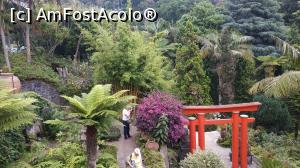 [P74] Monte Palace Garden » foto by elenaadina
 - 
<span class="allrVoted glyphicon glyphicon-heart hidden" id="av1338025"></span>
<a class="m-l-10 hidden" id="sv1338025" onclick="voting_Foto_DelVot(,1338025,4289)" role="button">șterge vot <span class="glyphicon glyphicon-remove"></span></a>
<a id="v91338025" class=" c-red"  onclick="voting_Foto_SetVot(1338025)" role="button"><span class="glyphicon glyphicon-heart-empty"></span> <b>LIKE</b> = Votează poza</a> <img class="hidden"  id="f1338025W9" src="/imagini/loader.gif" border="0" /><span class="AjErrMes hidden" id="e1338025ErM"></span>