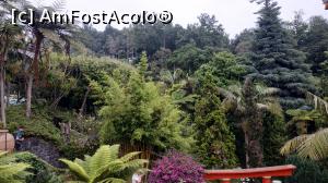 [P75] Monte Palace Garden » foto by elenaadina
 - 
<span class="allrVoted glyphicon glyphicon-heart hidden" id="av1338026"></span>
<a class="m-l-10 hidden" id="sv1338026" onclick="voting_Foto_DelVot(,1338026,4289)" role="button">șterge vot <span class="glyphicon glyphicon-remove"></span></a>
<a id="v91338026" class=" c-red"  onclick="voting_Foto_SetVot(1338026)" role="button"><span class="glyphicon glyphicon-heart-empty"></span> <b>LIKE</b> = Votează poza</a> <img class="hidden"  id="f1338026W9" src="/imagini/loader.gif" border="0" /><span class="AjErrMes hidden" id="e1338026ErM"></span>