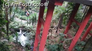 [P08] Monte Palace Garden » foto by elenaadina
 - 
<span class="allrVoted glyphicon glyphicon-heart hidden" id="av1337959"></span>
<a class="m-l-10 hidden" id="sv1337959" onclick="voting_Foto_DelVot(,1337959,4289)" role="button">șterge vot <span class="glyphicon glyphicon-remove"></span></a>
<a id="v91337959" class=" c-red"  onclick="voting_Foto_SetVot(1337959)" role="button"><span class="glyphicon glyphicon-heart-empty"></span> <b>LIKE</b> = Votează poza</a> <img class="hidden"  id="f1337959W9" src="/imagini/loader.gif" border="0" /><span class="AjErrMes hidden" id="e1337959ErM"></span>