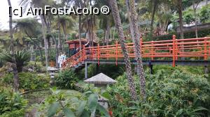 [P81] Monte Palace Garden » foto by elenaadina
 - 
<span class="allrVoted glyphicon glyphicon-heart hidden" id="av1338032"></span>
<a class="m-l-10 hidden" id="sv1338032" onclick="voting_Foto_DelVot(,1338032,4289)" role="button">șterge vot <span class="glyphicon glyphicon-remove"></span></a>
<a id="v91338032" class=" c-red"  onclick="voting_Foto_SetVot(1338032)" role="button"><span class="glyphicon glyphicon-heart-empty"></span> <b>LIKE</b> = Votează poza</a> <img class="hidden"  id="f1338032W9" src="/imagini/loader.gif" border="0" /><span class="AjErrMes hidden" id="e1338032ErM"></span>