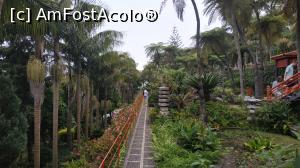 [P82] Monte Palace Garden » foto by elenaadina
 - 
<span class="allrVoted glyphicon glyphicon-heart hidden" id="av1338033"></span>
<a class="m-l-10 hidden" id="sv1338033" onclick="voting_Foto_DelVot(,1338033,4289)" role="button">șterge vot <span class="glyphicon glyphicon-remove"></span></a>
<a id="v91338033" class=" c-red"  onclick="voting_Foto_SetVot(1338033)" role="button"><span class="glyphicon glyphicon-heart-empty"></span> <b>LIKE</b> = Votează poza</a> <img class="hidden"  id="f1338033W9" src="/imagini/loader.gif" border="0" /><span class="AjErrMes hidden" id="e1338033ErM"></span>