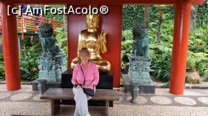 [P83] Monte Palace Garden » foto by elenaadina
 - 
<span class="allrVoted glyphicon glyphicon-heart hidden" id="av1338034"></span>
<a class="m-l-10 hidden" id="sv1338034" onclick="voting_Foto_DelVot(,1338034,4289)" role="button">șterge vot <span class="glyphicon glyphicon-remove"></span></a>
<a id="v91338034" class=" c-red"  onclick="voting_Foto_SetVot(1338034)" role="button"><span class="glyphicon glyphicon-heart-empty"></span> <b>LIKE</b> = Votează poza</a> <img class="hidden"  id="f1338034W9" src="/imagini/loader.gif" border="0" /><span class="AjErrMes hidden" id="e1338034ErM"></span>