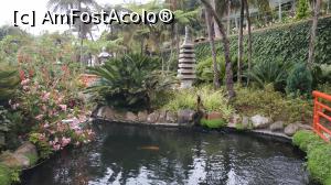 [P84] Monte Palace Garden » foto by elenaadina
 - 
<span class="allrVoted glyphicon glyphicon-heart hidden" id="av1338035"></span>
<a class="m-l-10 hidden" id="sv1338035" onclick="voting_Foto_DelVot(,1338035,4289)" role="button">șterge vot <span class="glyphicon glyphicon-remove"></span></a>
<a id="v91338035" class=" c-red"  onclick="voting_Foto_SetVot(1338035)" role="button"><span class="glyphicon glyphicon-heart-empty"></span> <b>LIKE</b> = Votează poza</a> <img class="hidden"  id="f1338035W9" src="/imagini/loader.gif" border="0" /><span class="AjErrMes hidden" id="e1338035ErM"></span>