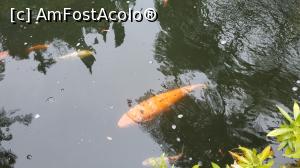 [P86] Monte Palace Garden » foto by elenaadina
 - 
<span class="allrVoted glyphicon glyphicon-heart hidden" id="av1338037"></span>
<a class="m-l-10 hidden" id="sv1338037" onclick="voting_Foto_DelVot(,1338037,4289)" role="button">șterge vot <span class="glyphicon glyphicon-remove"></span></a>
<a id="v91338037" class=" c-red"  onclick="voting_Foto_SetVot(1338037)" role="button"><span class="glyphicon glyphicon-heart-empty"></span> <b>LIKE</b> = Votează poza</a> <img class="hidden"  id="f1338037W9" src="/imagini/loader.gif" border="0" /><span class="AjErrMes hidden" id="e1338037ErM"></span>