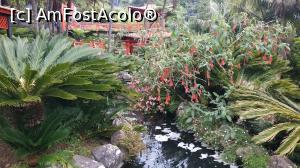 [P87] Monte Palace Garden » foto by elenaadina
 - 
<span class="allrVoted glyphicon glyphicon-heart hidden" id="av1338038"></span>
<a class="m-l-10 hidden" id="sv1338038" onclick="voting_Foto_DelVot(,1338038,4289)" role="button">șterge vot <span class="glyphicon glyphicon-remove"></span></a>
<a id="v91338038" class=" c-red"  onclick="voting_Foto_SetVot(1338038)" role="button"><span class="glyphicon glyphicon-heart-empty"></span> <b>LIKE</b> = Votează poza</a> <img class="hidden"  id="f1338038W9" src="/imagini/loader.gif" border="0" /><span class="AjErrMes hidden" id="e1338038ErM"></span>