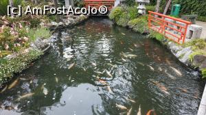 [P88] Monte Palace Garden » foto by elenaadina
 - 
<span class="allrVoted glyphicon glyphicon-heart hidden" id="av1338039"></span>
<a class="m-l-10 hidden" id="sv1338039" onclick="voting_Foto_DelVot(,1338039,4289)" role="button">șterge vot <span class="glyphicon glyphicon-remove"></span></a>
<a id="v91338039" class=" c-red"  onclick="voting_Foto_SetVot(1338039)" role="button"><span class="glyphicon glyphicon-heart-empty"></span> <b>LIKE</b> = Votează poza</a> <img class="hidden"  id="f1338039W9" src="/imagini/loader.gif" border="0" /><span class="AjErrMes hidden" id="e1338039ErM"></span>