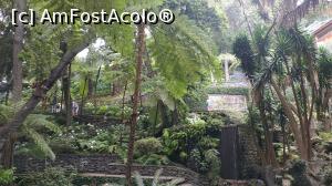 [P09] Monte Palace Garden » foto by elenaadina
 - 
<span class="allrVoted glyphicon glyphicon-heart hidden" id="av1337960"></span>
<a class="m-l-10 hidden" id="sv1337960" onclick="voting_Foto_DelVot(,1337960,4289)" role="button">șterge vot <span class="glyphicon glyphicon-remove"></span></a>
<a id="v91337960" class=" c-red"  onclick="voting_Foto_SetVot(1337960)" role="button"><span class="glyphicon glyphicon-heart-empty"></span> <b>LIKE</b> = Votează poza</a> <img class="hidden"  id="f1337960W9" src="/imagini/loader.gif" border="0" /><span class="AjErrMes hidden" id="e1337960ErM"></span>