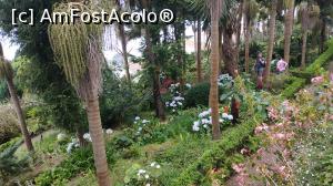 [P90] Monte Palace Garden » foto by elenaadina
 - 
<span class="allrVoted glyphicon glyphicon-heart hidden" id="av1338041"></span>
<a class="m-l-10 hidden" id="sv1338041" onclick="voting_Foto_DelVot(,1338041,4289)" role="button">șterge vot <span class="glyphicon glyphicon-remove"></span></a>
<a id="v91338041" class=" c-red"  onclick="voting_Foto_SetVot(1338041)" role="button"><span class="glyphicon glyphicon-heart-empty"></span> <b>LIKE</b> = Votează poza</a> <img class="hidden"  id="f1338041W9" src="/imagini/loader.gif" border="0" /><span class="AjErrMes hidden" id="e1338041ErM"></span>