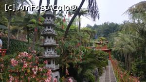 [P91] Monte Palace Garden » foto by elenaadina
 - 
<span class="allrVoted glyphicon glyphicon-heart hidden" id="av1338042"></span>
<a class="m-l-10 hidden" id="sv1338042" onclick="voting_Foto_DelVot(,1338042,4289)" role="button">șterge vot <span class="glyphicon glyphicon-remove"></span></a>
<a id="v91338042" class=" c-red"  onclick="voting_Foto_SetVot(1338042)" role="button"><span class="glyphicon glyphicon-heart-empty"></span> <b>LIKE</b> = Votează poza</a> <img class="hidden"  id="f1338042W9" src="/imagini/loader.gif" border="0" /><span class="AjErrMes hidden" id="e1338042ErM"></span>