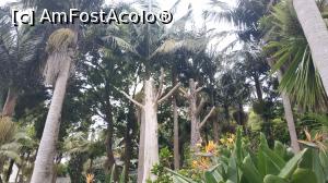 [P96] Monte Palace Garden » foto by elenaadina
 - 
<span class="allrVoted glyphicon glyphicon-heart hidden" id="av1338047"></span>
<a class="m-l-10 hidden" id="sv1338047" onclick="voting_Foto_DelVot(,1338047,4289)" role="button">șterge vot <span class="glyphicon glyphicon-remove"></span></a>
<a id="v91338047" class=" c-red"  onclick="voting_Foto_SetVot(1338047)" role="button"><span class="glyphicon glyphicon-heart-empty"></span> <b>LIKE</b> = Votează poza</a> <img class="hidden"  id="f1338047W9" src="/imagini/loader.gif" border="0" /><span class="AjErrMes hidden" id="e1338047ErM"></span>