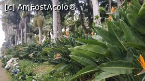 [P97] Monte Palace Garden » foto by elenaadina
 - 
<span class="allrVoted glyphicon glyphicon-heart hidden" id="av1338048"></span>
<a class="m-l-10 hidden" id="sv1338048" onclick="voting_Foto_DelVot(,1338048,4289)" role="button">șterge vot <span class="glyphicon glyphicon-remove"></span></a>
<a id="v91338048" class=" c-red"  onclick="voting_Foto_SetVot(1338048)" role="button"><span class="glyphicon glyphicon-heart-empty"></span> <b>LIKE</b> = Votează poza</a> <img class="hidden"  id="f1338048W9" src="/imagini/loader.gif" border="0" /><span class="AjErrMes hidden" id="e1338048ErM"></span>