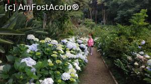 [P98] Monte Palace Garden » foto by elenaadina
 - 
<span class="allrVoted glyphicon glyphicon-heart hidden" id="av1338049"></span>
<a class="m-l-10 hidden" id="sv1338049" onclick="voting_Foto_DelVot(,1338049,4289)" role="button">șterge vot <span class="glyphicon glyphicon-remove"></span></a>
<a id="v91338049" class=" c-red"  onclick="voting_Foto_SetVot(1338049)" role="button"><span class="glyphicon glyphicon-heart-empty"></span> <b>LIKE</b> = Votează poza</a> <img class="hidden"  id="f1338049W9" src="/imagini/loader.gif" border="0" /><span class="AjErrMes hidden" id="e1338049ErM"></span>