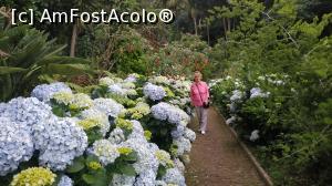 [P99] Monte Palace Garden » foto by elenaadina
 - 
<span class="allrVoted glyphicon glyphicon-heart hidden" id="av1338050"></span>
<a class="m-l-10 hidden" id="sv1338050" onclick="voting_Foto_DelVot(,1338050,4289)" role="button">șterge vot <span class="glyphicon glyphicon-remove"></span></a>
<a id="v91338050" class=" c-red"  onclick="voting_Foto_SetVot(1338050)" role="button"><span class="glyphicon glyphicon-heart-empty"></span> <b>LIKE</b> = Votează poza</a> <img class="hidden"  id="f1338050W9" src="/imagini/loader.gif" border="0" /><span class="AjErrMes hidden" id="e1338050ErM"></span>