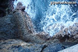 [P02]  -- <small>// FĂRĂ DESCRIERE</small> » foto by mihai.panait
 - 
<span class="allrVoted glyphicon glyphicon-heart hidden" id="av606506"></span>
<a class="m-l-10 hidden" id="sv606506" onclick="voting_Foto_DelVot(,606506,4289)" role="button">șterge vot <span class="glyphicon glyphicon-remove"></span></a>
<a id="v9606506" class=" c-red"  onclick="voting_Foto_SetVot(606506)" role="button"><span class="glyphicon glyphicon-heart-empty"></span> <b>LIKE</b> = Votează poza</a> <img class="hidden"  id="f606506W9" src="/imagini/loader.gif" border="0" /><span class="AjErrMes hidden" id="e606506ErM"></span>