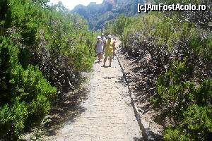 [P03]  -- <small>// FĂRĂ DESCRIERE</small> » foto by mihai.panait
 - 
<span class="allrVoted glyphicon glyphicon-heart hidden" id="av606507"></span>
<a class="m-l-10 hidden" id="sv606507" onclick="voting_Foto_DelVot(,606507,4289)" role="button">șterge vot <span class="glyphicon glyphicon-remove"></span></a>
<a id="v9606507" class=" c-red"  onclick="voting_Foto_SetVot(606507)" role="button"><span class="glyphicon glyphicon-heart-empty"></span> <b>LIKE</b> = Votează poza</a> <img class="hidden"  id="f606507W9" src="/imagini/loader.gif" border="0" /><span class="AjErrMes hidden" id="e606507ErM"></span>