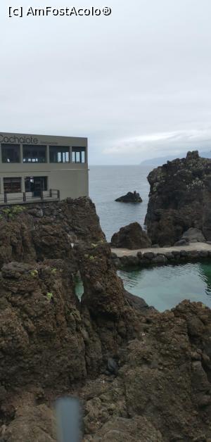 [P02] Piscinele naturale din Porto Moniz » foto by Clementina
 - 
<span class="allrVoted glyphicon glyphicon-heart hidden" id="av1388362"></span>
<a class="m-l-10 hidden" id="sv1388362" onclick="voting_Foto_DelVot(,1388362,4289)" role="button">șterge vot <span class="glyphicon glyphicon-remove"></span></a>
<a id="v91388362" class=" c-red"  onclick="voting_Foto_SetVot(1388362)" role="button"><span class="glyphicon glyphicon-heart-empty"></span> <b>LIKE</b> = Votează poza</a> <img class="hidden"  id="f1388362W9" src="/imagini/loader.gif" border="0" /><span class="AjErrMes hidden" id="e1388362ErM"></span>