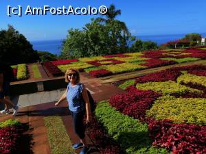 [P03] Gradina Botanica Madeira » foto by mariana07
 - 
<span class="allrVoted glyphicon glyphicon-heart hidden" id="av1257816"></span>
<a class="m-l-10 hidden" id="sv1257816" onclick="voting_Foto_DelVot(,1257816,4289)" role="button">șterge vot <span class="glyphicon glyphicon-remove"></span></a>
<a id="v91257816" class=" c-red"  onclick="voting_Foto_SetVot(1257816)" role="button"><span class="glyphicon glyphicon-heart-empty"></span> <b>LIKE</b> = Votează poza</a> <img class="hidden"  id="f1257816W9" src="/imagini/loader.gif" border="0" /><span class="AjErrMes hidden" id="e1257816ErM"></span>
