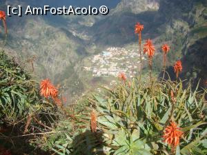 [P07] Curral des Freiras în spatele florilor » foto by Marius 72
 - 
<span class="allrVoted glyphicon glyphicon-heart hidden" id="av1045115"></span>
<a class="m-l-10 hidden" id="sv1045115" onclick="voting_Foto_DelVot(,1045115,4289)" role="button">șterge vot <span class="glyphicon glyphicon-remove"></span></a>
<a id="v91045115" class=" c-red"  onclick="voting_Foto_SetVot(1045115)" role="button"><span class="glyphicon glyphicon-heart-empty"></span> <b>LIKE</b> = Votează poza</a> <img class="hidden"  id="f1045115W9" src="/imagini/loader.gif" border="0" /><span class="AjErrMes hidden" id="e1045115ErM"></span>