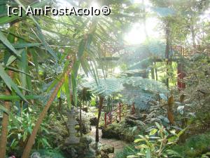 [P18] Prin grădina botanică » foto by Marius 72
 - 
<span class="allrVoted glyphicon glyphicon-heart hidden" id="av1046198"></span>
<a class="m-l-10 hidden" id="sv1046198" onclick="voting_Foto_DelVot(,1046198,4289)" role="button">șterge vot <span class="glyphicon glyphicon-remove"></span></a>
<a id="v91046198" class=" c-red"  onclick="voting_Foto_SetVot(1046198)" role="button"><span class="glyphicon glyphicon-heart-empty"></span> <b>LIKE</b> = Votează poza</a> <img class="hidden"  id="f1046198W9" src="/imagini/loader.gif" border="0" /><span class="AjErrMes hidden" id="e1046198ErM"></span>