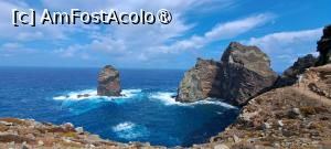 [P59] De pe traseul PR8, Ponta de São Laurenço » foto by irinad
 - 
<span class="allrVoted glyphicon glyphicon-heart hidden" id="av1501275"></span>
<a class="m-l-10 hidden" id="sv1501275" onclick="voting_Foto_DelVot(,1501275,4289)" role="button">șterge vot <span class="glyphicon glyphicon-remove"></span></a>
<a id="v91501275" class=" c-red"  onclick="voting_Foto_SetVot(1501275)" role="button"><span class="glyphicon glyphicon-heart-empty"></span> <b>LIKE</b> = Votează poza</a> <img class="hidden"  id="f1501275W9" src="/imagini/loader.gif" border="0" /><span class="AjErrMes hidden" id="e1501275ErM"></span>