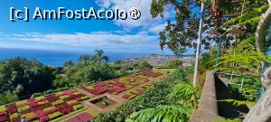 [P66] Jardim Botânico da Madeira » foto by irinad
 - 
<span class="allrVoted glyphicon glyphicon-heart hidden" id="av1501282"></span>
<a class="m-l-10 hidden" id="sv1501282" onclick="voting_Foto_DelVot(,1501282,4289)" role="button">șterge vot <span class="glyphicon glyphicon-remove"></span></a>
<a id="v91501282" class=" c-red"  onclick="voting_Foto_SetVot(1501282)" role="button"><span class="glyphicon glyphicon-heart-empty"></span> <b>LIKE</b> = Votează poza</a> <img class="hidden"  id="f1501282W9" src="/imagini/loader.gif" border="0" /><span class="AjErrMes hidden" id="e1501282ErM"></span>