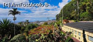 [P67] Jardim Botânico da Madeira » foto by irinad
 - 
<span class="allrVoted glyphicon glyphicon-heart hidden" id="av1501283"></span>
<a class="m-l-10 hidden" id="sv1501283" onclick="voting_Foto_DelVot(,1501283,4289)" role="button">șterge vot <span class="glyphicon glyphicon-remove"></span></a>
<a id="v91501283" class=" c-red"  onclick="voting_Foto_SetVot(1501283)" role="button"><span class="glyphicon glyphicon-heart-empty"></span> <b>LIKE</b> = Votează poza</a> <img class="hidden"  id="f1501283W9" src="/imagini/loader.gif" border="0" /><span class="AjErrMes hidden" id="e1501283ErM"></span>