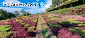 [P68] Jardim Botânico da Madeira » foto by irinad
 - 
<span class="allrVoted glyphicon glyphicon-heart hidden" id="av1501284"></span>
<a class="m-l-10 hidden" id="sv1501284" onclick="voting_Foto_DelVot(,1501284,4289)" role="button">șterge vot <span class="glyphicon glyphicon-remove"></span></a>
<a id="v91501284" class=" c-red"  onclick="voting_Foto_SetVot(1501284)" role="button"><span class="glyphicon glyphicon-heart-empty"></span> <b>LIKE</b> = Votează poza</a> <img class="hidden"  id="f1501284W9" src="/imagini/loader.gif" border="0" /><span class="AjErrMes hidden" id="e1501284ErM"></span>