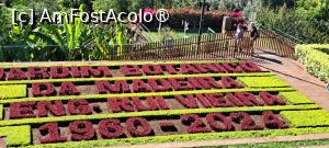 [P69] Jardim Botânico da Madeira » foto by irinad
 - 
<span class="allrVoted glyphicon glyphicon-heart hidden" id="av1501285"></span>
<a class="m-l-10 hidden" id="sv1501285" onclick="voting_Foto_DelVot(,1501285,4289)" role="button">șterge vot <span class="glyphicon glyphicon-remove"></span></a>
<a id="v91501285" class=" c-red"  onclick="voting_Foto_SetVot(1501285)" role="button"><span class="glyphicon glyphicon-heart-empty"></span> <b>LIKE</b> = Votează poza</a> <img class="hidden"  id="f1501285W9" src="/imagini/loader.gif" border="0" /><span class="AjErrMes hidden" id="e1501285ErM"></span>