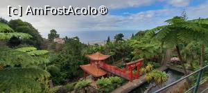 [P73] Jardim Tropical Monte Palace » foto by irinad
 - 
<span class="allrVoted glyphicon glyphicon-heart hidden" id="av1501289"></span>
<a class="m-l-10 hidden" id="sv1501289" onclick="voting_Foto_DelVot(,1501289,4289)" role="button">șterge vot <span class="glyphicon glyphicon-remove"></span></a>
<a id="v91501289" class=" c-red"  onclick="voting_Foto_SetVot(1501289)" role="button"><span class="glyphicon glyphicon-heart-empty"></span> <b>LIKE</b> = Votează poza</a> <img class="hidden"  id="f1501289W9" src="/imagini/loader.gif" border="0" /><span class="AjErrMes hidden" id="e1501289ErM"></span>