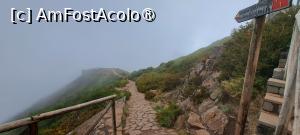 [P81] Zona din preajma Pico de Arieiro, învăluită în ceață » foto by irinad
 - 
<span class="allrVoted glyphicon glyphicon-heart hidden" id="av1501297"></span>
<a class="m-l-10 hidden" id="sv1501297" onclick="voting_Foto_DelVot(,1501297,4289)" role="button">șterge vot <span class="glyphicon glyphicon-remove"></span></a>
<a id="v91501297" class=" c-red"  onclick="voting_Foto_SetVot(1501297)" role="button"><span class="glyphicon glyphicon-heart-empty"></span> <b>LIKE</b> = Votează poza</a> <img class="hidden"  id="f1501297W9" src="/imagini/loader.gif" border="0" /><span class="AjErrMes hidden" id="e1501297ErM"></span>