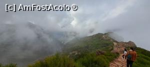 [P82] Zona din preajma Pico de Arieiro, învăluită în ceață. Touși ne lansăm pe PR1 pentru distanță scurtă » foto by irinad
 - 
<span class="allrVoted glyphicon glyphicon-heart hidden" id="av1501298"></span>
<a class="m-l-10 hidden" id="sv1501298" onclick="voting_Foto_DelVot(,1501298,4289)" role="button">șterge vot <span class="glyphicon glyphicon-remove"></span></a>
<a id="v91501298" class=" c-red"  onclick="voting_Foto_SetVot(1501298)" role="button"><span class="glyphicon glyphicon-heart-empty"></span> <b>LIKE</b> = Votează poza</a> <img class="hidden"  id="f1501298W9" src="/imagini/loader.gif" border="0" /><span class="AjErrMes hidden" id="e1501298ErM"></span>