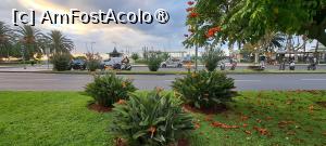 [P09] Strelitzia, floarea Madeirei » foto by irinad
 - 
<span class="allrVoted glyphicon glyphicon-heart hidden" id="av1501225"></span>
<a class="m-l-10 hidden" id="sv1501225" onclick="voting_Foto_DelVot(,1501225,4289)" role="button">șterge vot <span class="glyphicon glyphicon-remove"></span></a>
<a id="v91501225" class=" c-red"  onclick="voting_Foto_SetVot(1501225)" role="button"><span class="glyphicon glyphicon-heart-empty"></span> <b>LIKE</b> = Votează poza</a> <img class="hidden"  id="f1501225W9" src="/imagini/loader.gif" border="0" /><span class="AjErrMes hidden" id="e1501225ErM"></span>