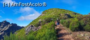 [P10] Pe traseu » foto by irinad
 - 
<span class="allrVoted glyphicon glyphicon-heart hidden" id="av1506908"></span>
<a class="m-l-10 hidden" id="sv1506908" onclick="voting_Foto_DelVot(,1506908,4289)" role="button">șterge vot <span class="glyphicon glyphicon-remove"></span></a>
<a id="v91506908" class=" c-red"  onclick="voting_Foto_SetVot(1506908)" role="button"><span class="glyphicon glyphicon-heart-empty"></span> <b>LIKE</b> = Votează poza</a> <img class="hidden"  id="f1506908W9" src="/imagini/loader.gif" border="0" /><span class="AjErrMes hidden" id="e1506908ErM"></span>