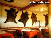[P13] În restaurant, atmosferă vânătorească » foto by Costi
 - 
<span class="allrVoted glyphicon glyphicon-heart hidden" id="av117654"></span>
<a class="m-l-10 hidden" id="sv117654" onclick="voting_Foto_DelVot(,117654,4302)" role="button">șterge vot <span class="glyphicon glyphicon-remove"></span></a>
<a id="v9117654" class=" c-red"  onclick="voting_Foto_SetVot(117654)" role="button"><span class="glyphicon glyphicon-heart-empty"></span> <b>LIKE</b> = Votează poza</a> <img class="hidden"  id="f117654W9" src="/imagini/loader.gif" border="0" /><span class="AjErrMes hidden" id="e117654ErM"></span>