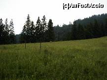 [P08] Peisaj montan în apropierea Cabanei Muntelui Roşu » foto by Costi
 - 
<span class="allrVoted glyphicon glyphicon-heart hidden" id="av117645"></span>
<a class="m-l-10 hidden" id="sv117645" onclick="voting_Foto_DelVot(,117645,4302)" role="button">șterge vot <span class="glyphicon glyphicon-remove"></span></a>
<a id="v9117645" class=" c-red"  onclick="voting_Foto_SetVot(117645)" role="button"><span class="glyphicon glyphicon-heart-empty"></span> <b>LIKE</b> = Votează poza</a> <img class="hidden"  id="f117645W9" src="/imagini/loader.gif" border="0" /><span class="AjErrMes hidden" id="e117645ErM"></span>