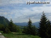 [P16] Peisajul de pe drumul catre hotel » foto by pink_gabi*
 - 
<span class="allrVoted glyphicon glyphicon-heart hidden" id="av80171"></span>
<a class="m-l-10 hidden" id="sv80171" onclick="voting_Foto_DelVot(,80171,4342)" role="button">șterge vot <span class="glyphicon glyphicon-remove"></span></a>
<a id="v980171" class=" c-red"  onclick="voting_Foto_SetVot(80171)" role="button"><span class="glyphicon glyphicon-heart-empty"></span> <b>LIKE</b> = Votează poza</a> <img class="hidden"  id="f80171W9" src="/imagini/loader.gif" border="0" /><span class="AjErrMes hidden" id="e80171ErM"></span>