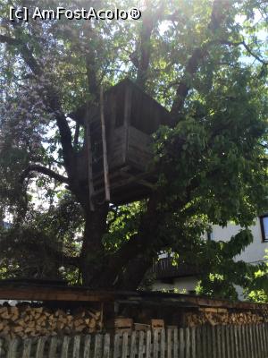 [P07] Igls - distractie la inaltime, cine nu si-a dorit o casuta in copaci? » foto by mishu
 - 
<span class="allrVoted glyphicon glyphicon-heart hidden" id="av1164336"></span>
<a class="m-l-10 hidden" id="sv1164336" onclick="voting_Foto_DelVot(,1164336,4343)" role="button">șterge vot <span class="glyphicon glyphicon-remove"></span></a>
<a id="v91164336" class=" c-red"  onclick="voting_Foto_SetVot(1164336)" role="button"><span class="glyphicon glyphicon-heart-empty"></span> <b>LIKE</b> = Votează poza</a> <img class="hidden"  id="f1164336W9" src="/imagini/loader.gif" border="0" /><span class="AjErrMes hidden" id="e1164336ErM"></span>